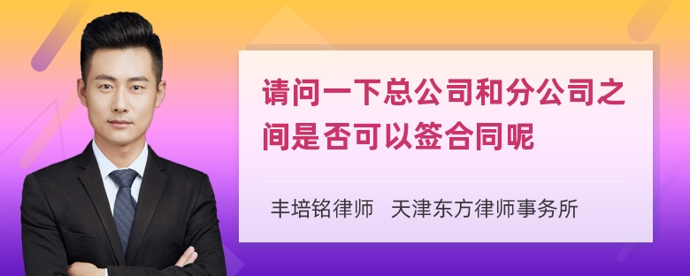 请问一下总公司和分公司之间是否可以签合同呢