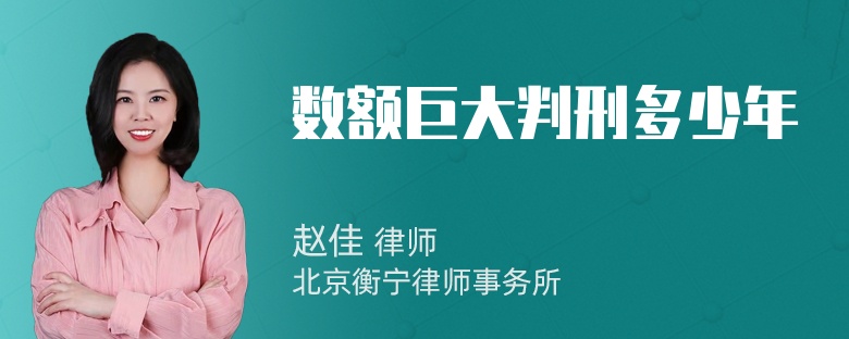 数额巨大判刑多少年