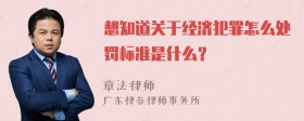 想知道关于经济犯罪怎么处罚标准是什么？