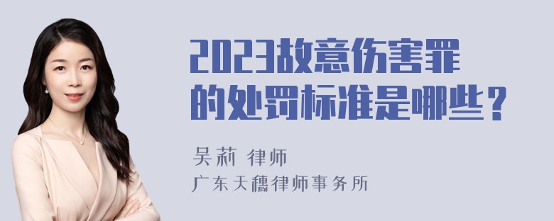 2023故意伤害罪的处罚标准是哪些？