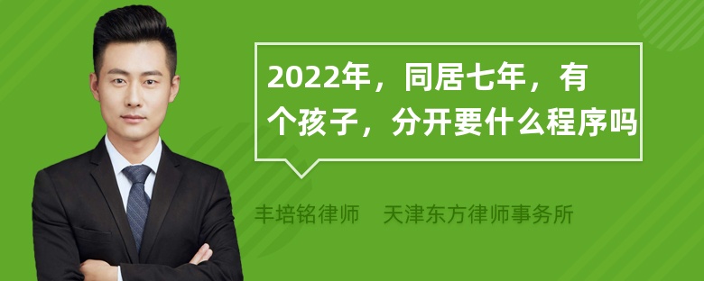 2022年，同居七年，有个孩子，分开要什么程序吗