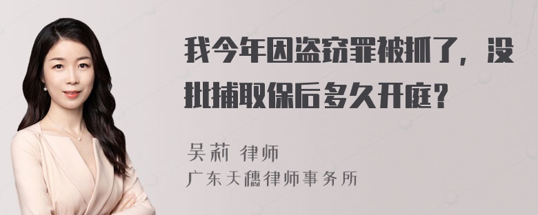 我今年因盗窃罪被抓了，没批捕取保后多久开庭？