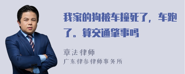 我家的狗被车撞死了，车跑了。算交通肇事吗