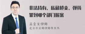 非法持有、私藏枪支、弹药罪到哪个部门报案