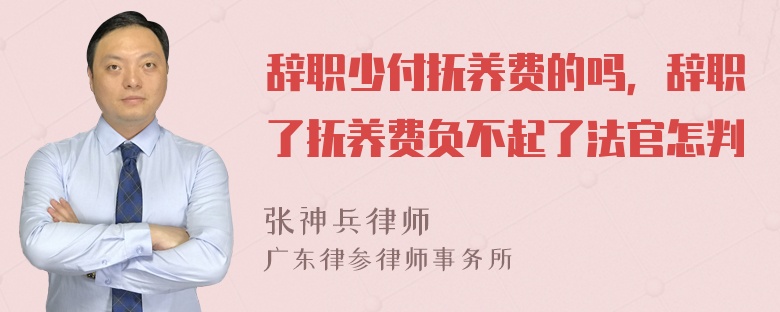 辞职少付抚养费的吗，辞职了抚养费负不起了法官怎判