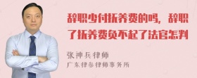 辞职少付抚养费的吗，辞职了抚养费负不起了法官怎判