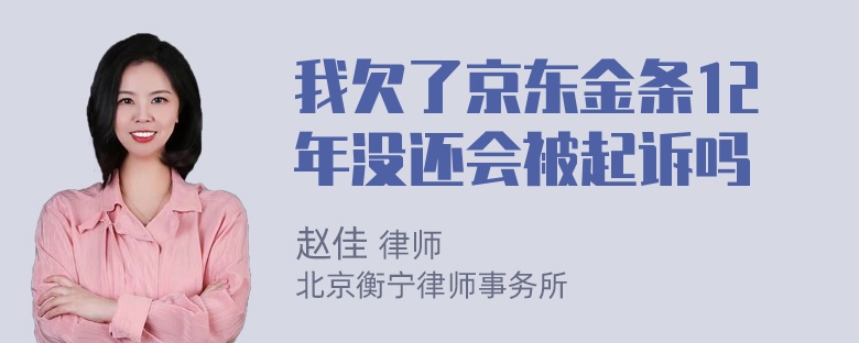 我欠了京东金条12年没还会被起诉吗