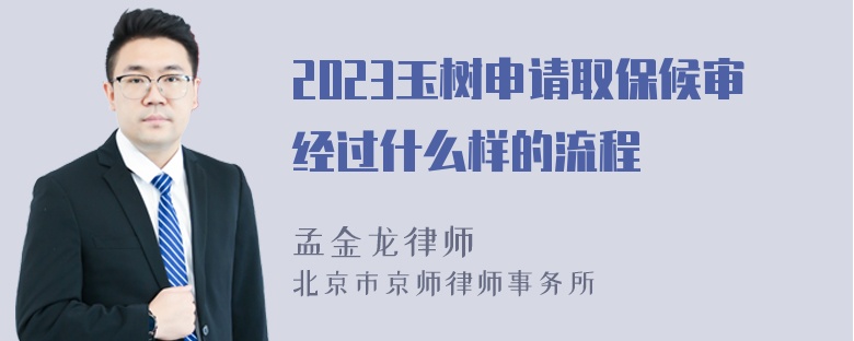 2023玉树申请取保候审经过什么样的流程