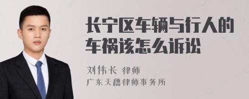 长宁区车辆与行人的车祸该怎么诉讼