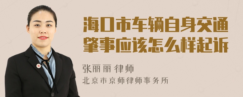 海口市车辆自身交通肇事应该怎么样起诉