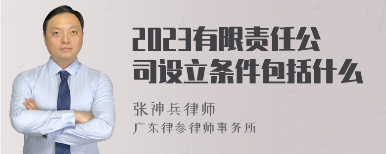 2023有限责任公司设立条件包括什么