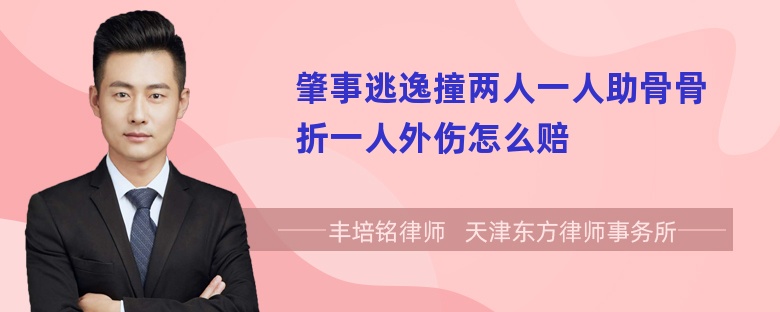 肇事逃逸撞两人一人助骨骨折一人外伤怎么赔