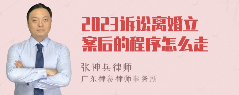 2023诉讼离婚立案后的程序怎么走