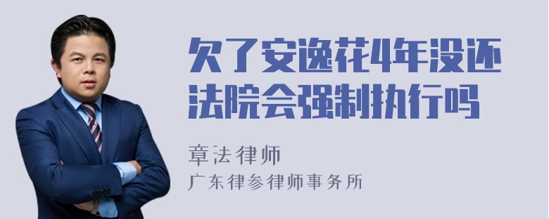 欠了安逸花4年没还法院会强制执行吗