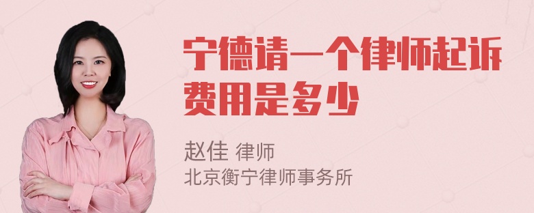 宁德请一个律师起诉费用是多少