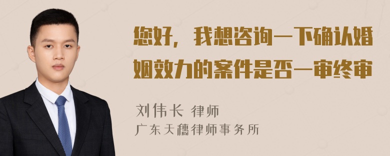 您好，我想咨询一下确认婚姻效力的案件是否一审终审