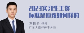 2023实习生工资标准是应该如何样的