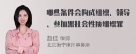 哪些条件会构成组织、领导、参加黑社会性质组织罪