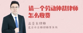 请一个劳动仲裁律师怎么收费