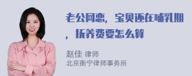 老公网恋，宝贝还在哺乳期，抚养费要怎么算