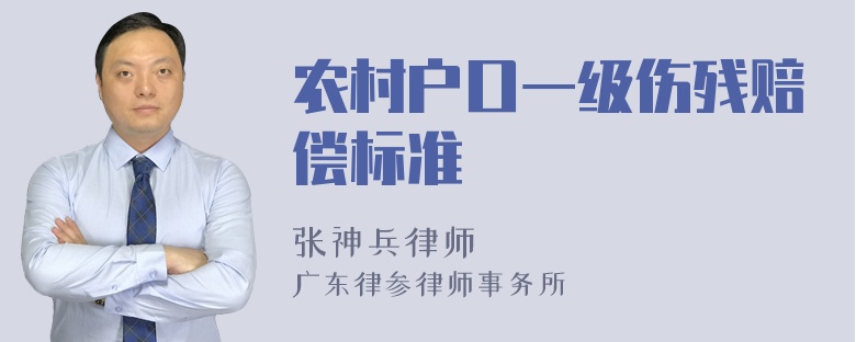 农村户口一级伤残赔偿标准