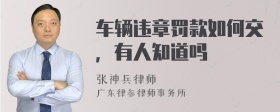 车辆违章罚款如何交，有人知道吗