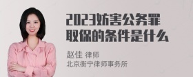 2023妨害公务罪取保的条件是什么