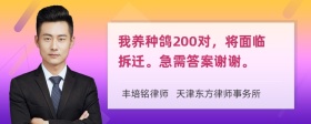 我养种鸽200对，将面临拆迁。急需答案谢谢。