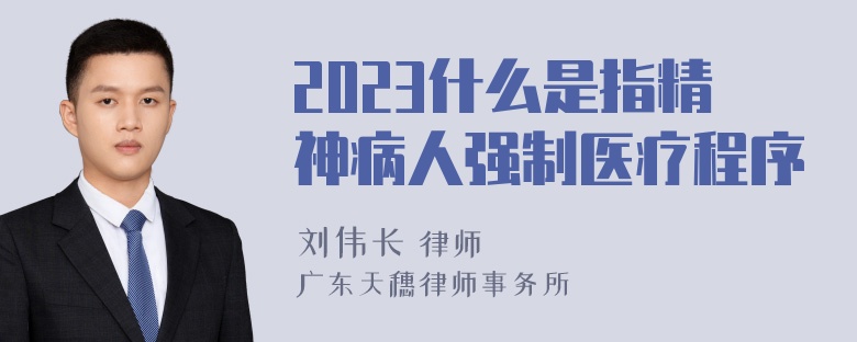 2023什么是指精神病人强制医疗程序