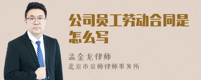 公司员工劳动合同是怎么写