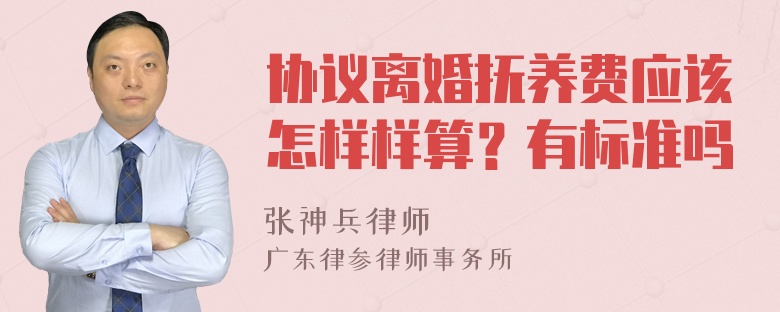 协议离婚抚养费应该怎样样算？有标准吗