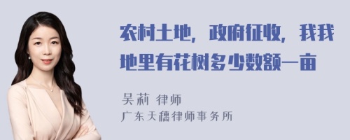 农村土地，政府征收，我我地里有花树多少数额一亩