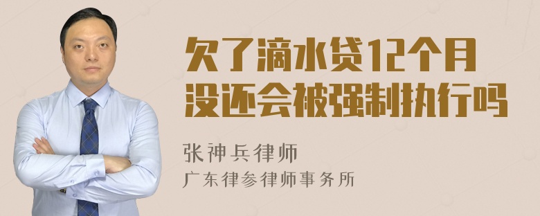 欠了滴水贷12个月没还会被强制执行吗