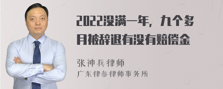 2022没满一年，九个多月被辞退有没有赔偿金