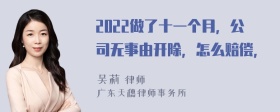 2022做了十一个月，公司无事由开除，怎么赔偿，