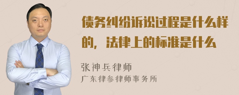 债务纠纷诉讼过程是什么样的，法律上的标准是什么