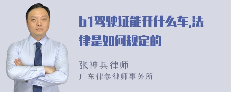 b1驾驶证能开什么车,法律是如何规定的