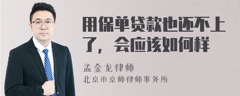 用保单贷款也还不上了，会应该如何样
