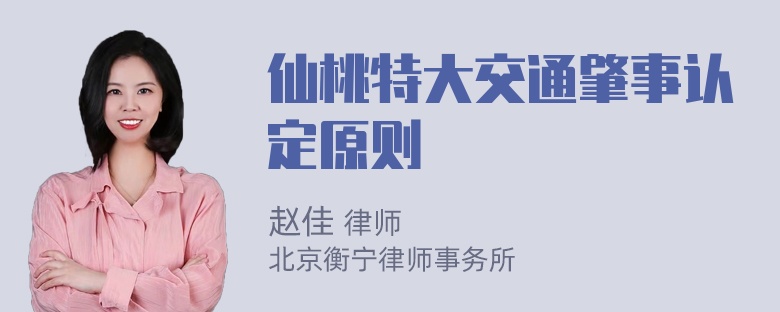 仙桃特大交通肇事认定原则