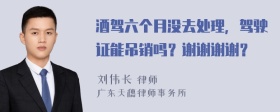 酒驾六个月没去处理，驾驶证能吊销吗？谢谢谢谢？