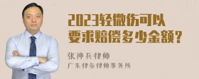 2023轻微伤可以要求赔偿多少金额？