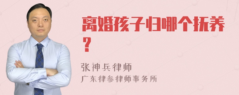 离婚孩子归哪个抚养？