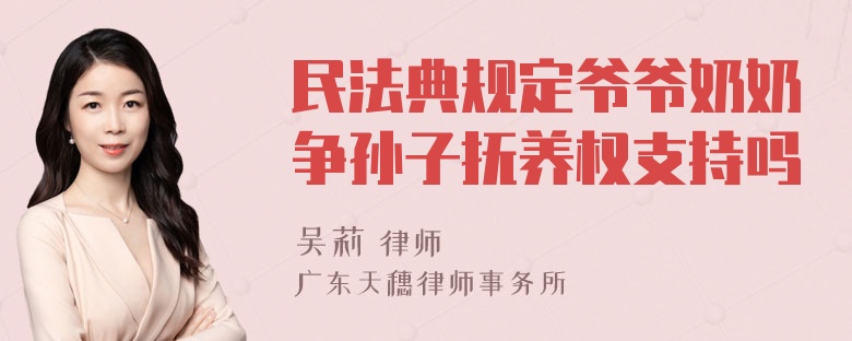 民法典规定爷爷奶奶争孙子抚养权支持吗