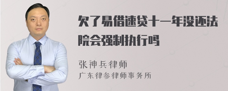 欠了易借速贷十一年没还法院会强制执行吗