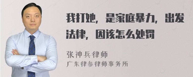 我打她，是家庭暴力，出发法律，因该怎么处罚