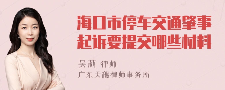 海口市停车交通肇事起诉要提交哪些材料