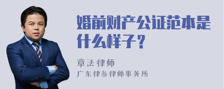 婚前财产公证范本是什么样子？