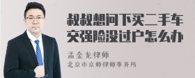 叔叔想问下买二手车交强险没过户怎么办