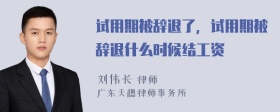 试用期被辞退了，试用期被辞退什么时候结工资