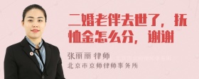 二婚老伴去世了，抚恤金怎么分，谢谢